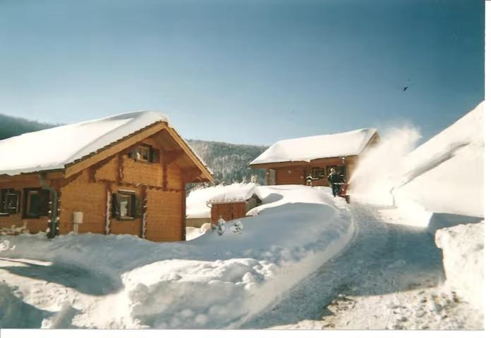 Le "Chalet De Minette" 2 Etoiles La Bresse Esterno foto