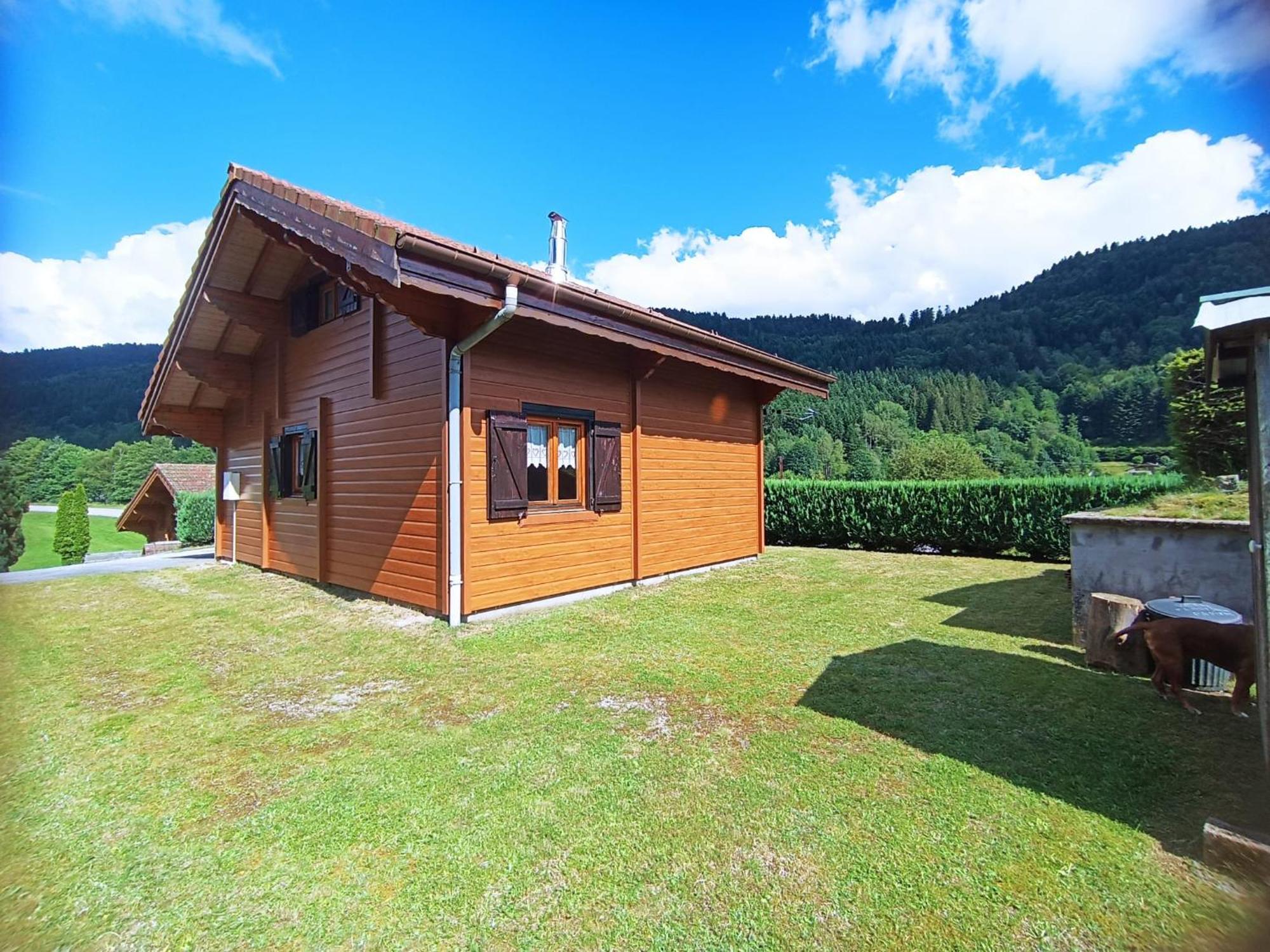 Le "Chalet De Minette" 2 Etoiles La Bresse Esterno foto